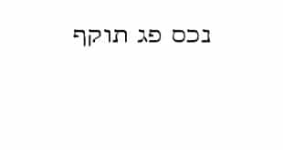 נכס פג תוקף -קורס מבחן המתווכים באינטרנט